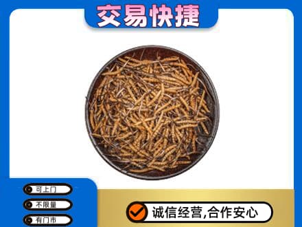 宝鸡市麟游回收散虫草