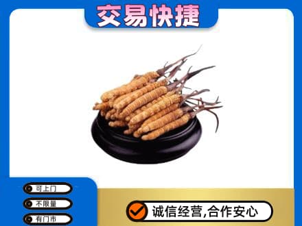 宝鸡市麟游礼品回收散虫草.jpg